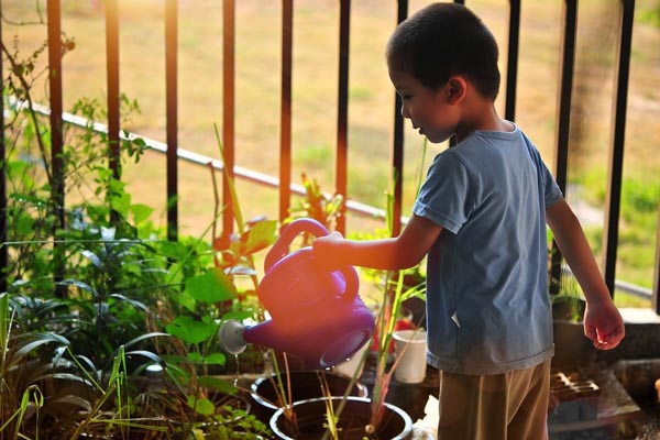 Box nature & jardinage 7-8 ans