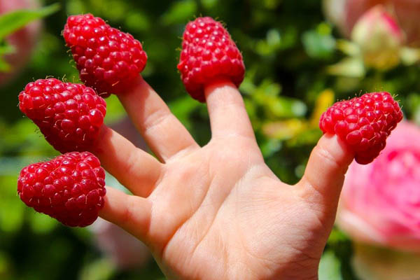 Box nature et jardinage pour enfants