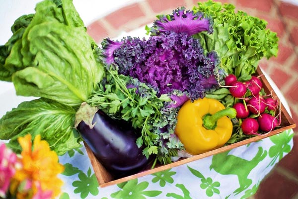 box potager pour enfant