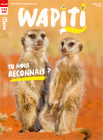 Abonnement Wapiti pas cher