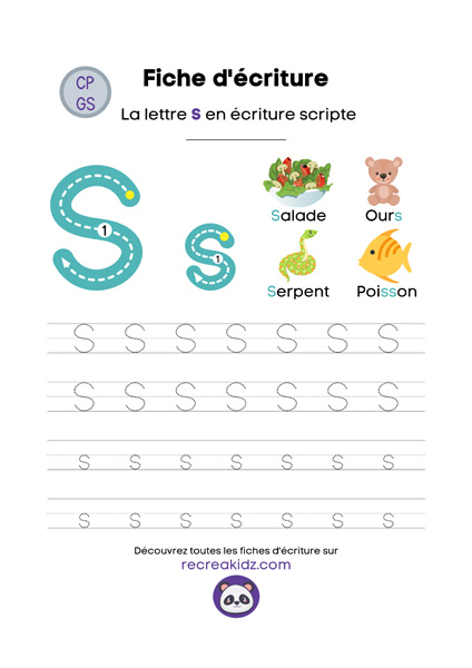 Écriture lettre S script majuscule & minuscule