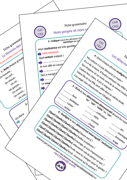 Fiche exercices grammaire CE1 - CE2 à imprimer PDF