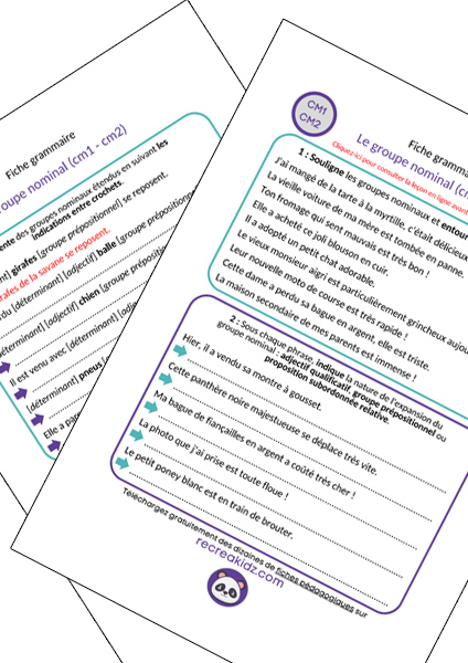 Fiche exercices groupe nominal CM1 - CM2 à imprimer PDF