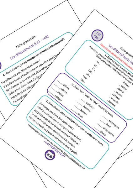 Fiche exercices les déterminants CE1 - CE2 à imprimer PDF