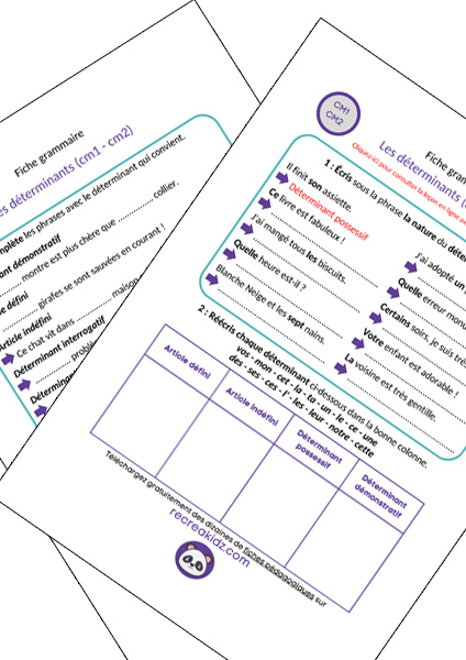 Fiche exercices les déterminants CM1 - CM2 à imprimer PDF