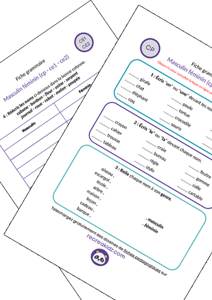 Fiche exercices masculin féminin à imprimer PDF