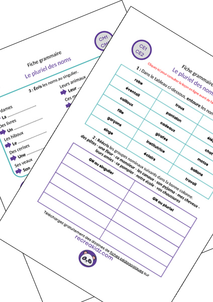 Fiche exercices pluriel des noms à imprimer PDF