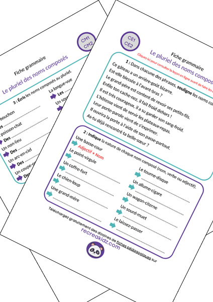 Fiche exercices pluriel des noms composés à imprimer PDF