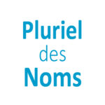 Le Pluriel des Noms CE1 - CE2 - CM1 - CM2