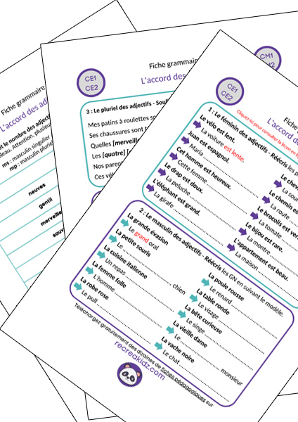 Fiche exercices accord des adjectifs CE1 - CE2 - CM1 - CM2 à imprimer PDF