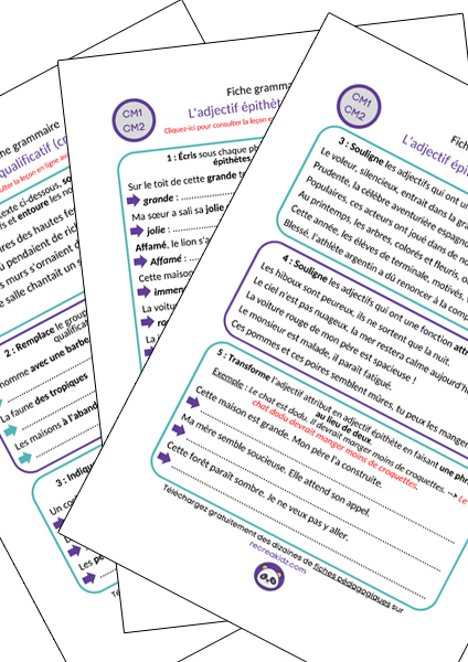 Fiche exercices adjectif CM1 - CM2 à imprimer PDF