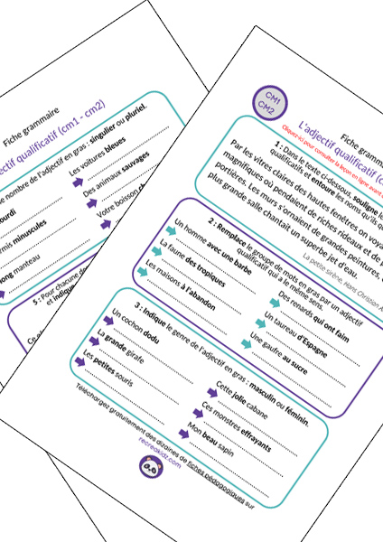 Fiche exercices adjectif qualificatif CM1 - CM2 à imprimer PDF