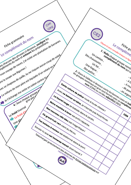 Fiche exercices complément du nom CE2 - CM1 - CM2 à imprimer PDF