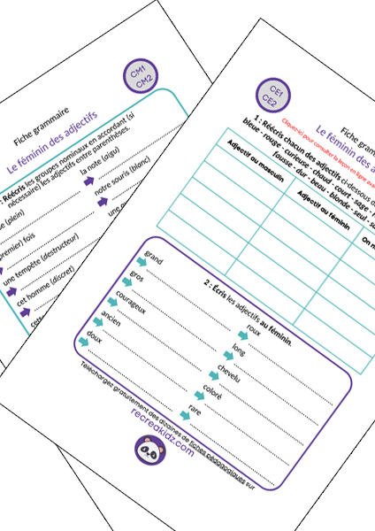 Fiche exercices féminin des adjectifs CE1 - CE2 - CM1 - CM2 à imprimer PDF