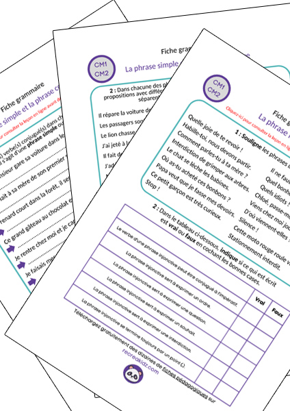 Fiche exercices la phrase CM1 - CM2 à imprimer PDF