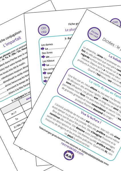 Fiche exercices orthographe CE1 - CE2 à imprimer PDF