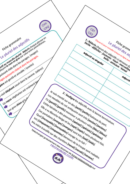 Fiche exercices pluriel des adjectifs CE1 - CE2 - CM1 - CM2 à imprimer PDF