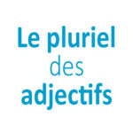 Le pluriel des adjectifs CE1 - CE2 - CM1 - CM2