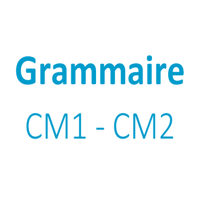 Leçon d'orthographe pour le CM1