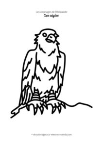 Coloriage aigle maternelle