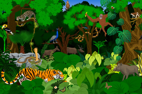 Coloriage animaux de la jungle gratuit