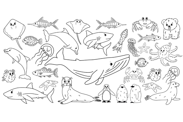 Coloriage Animaux Marins De La Mer à Imprimer En Pdf Dessin à