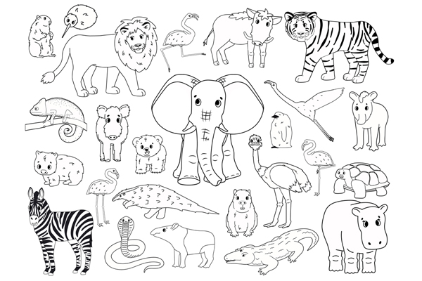 Coloriage animaux sauvages à imprimer