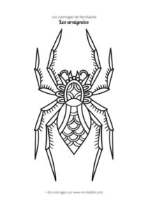 Coloriage d'araignée facile à faire