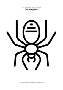 Coloriage araignée maternelle