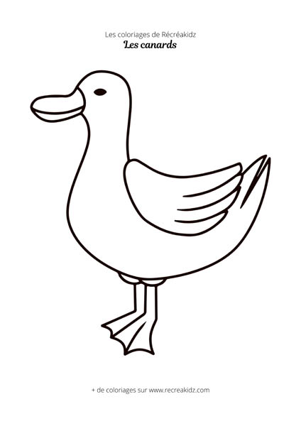 Coloriage canard maternelle