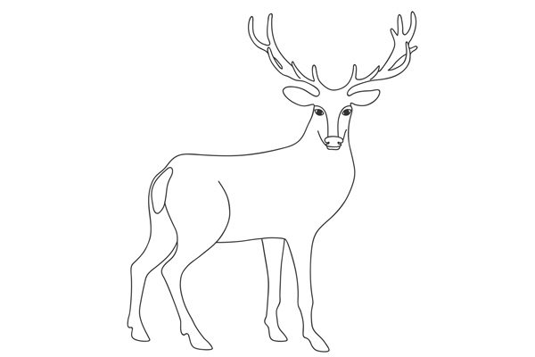 Coloriage de cerf à imprimer