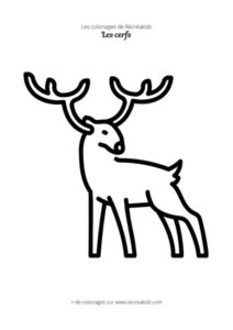 Coloriage de cerf facile