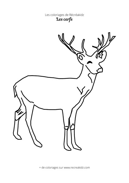 Coloriage de cerf simple