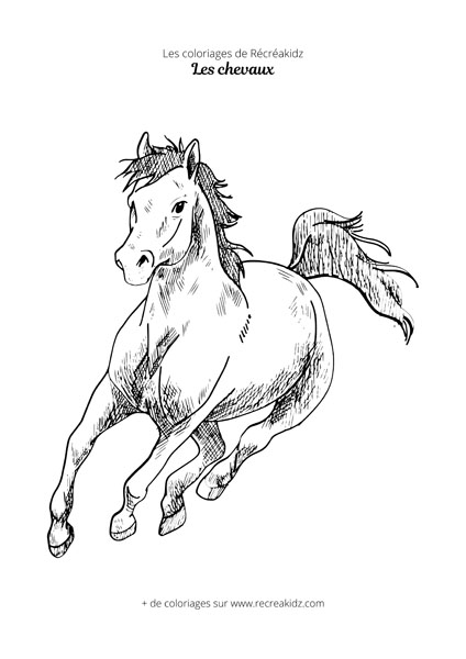 Coloriage de cheval au galop