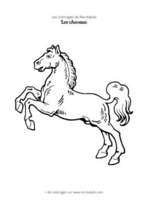 Coloriage cheval debout