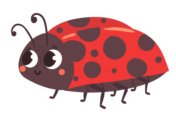 Coloriage coccinelle gratuit