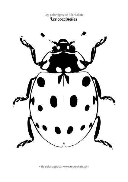 Coloriage de coccinelle réaliste