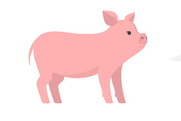 Coloriage de cochon gratuit