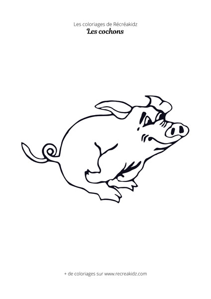 Coloriage cochon qui court