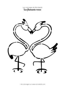 Coloriage de couple de flamants roses