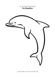 Coloriage dauphin facile