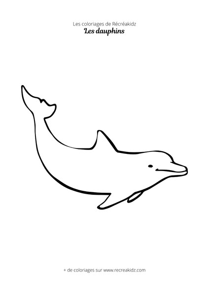 Coloriage de dauphin simple