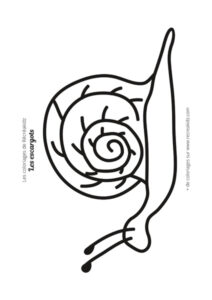 Coloriage escargot facile