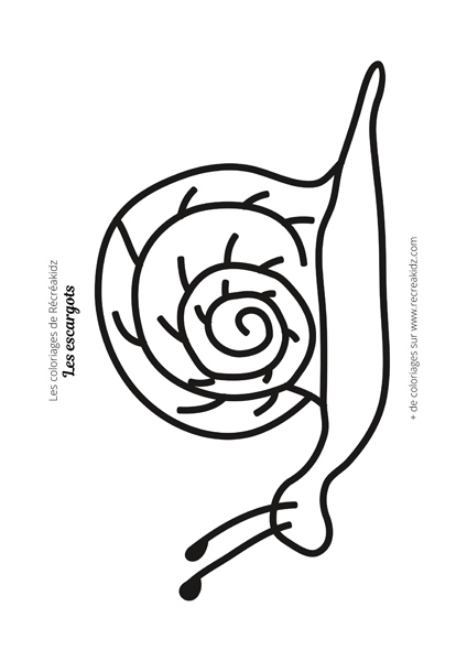 Coloriage escargot facile