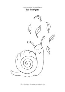 Coloriage d'escargot simple à réaliser