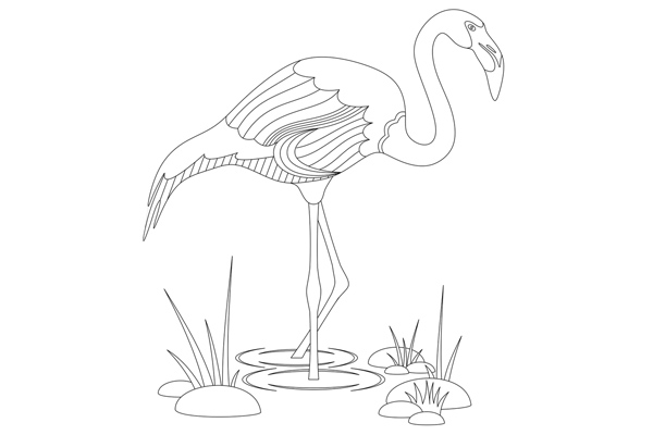 Coloriage flamant rose à imprimer