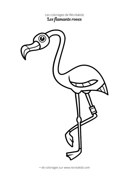 Coloriage de flamant rose facile