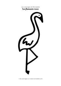 Coloriage flamant rose maternelle