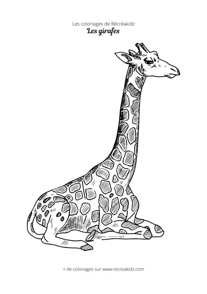 Coloriage de girafe assise
