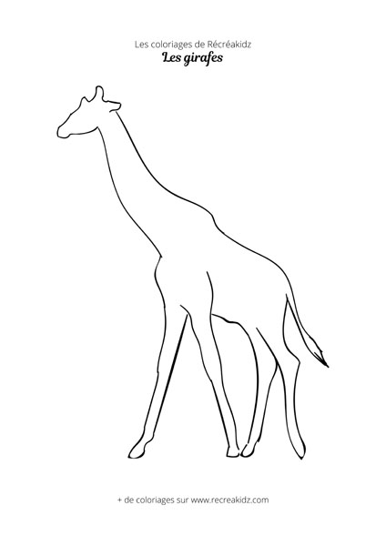 Coloriage de girafe simple à faire